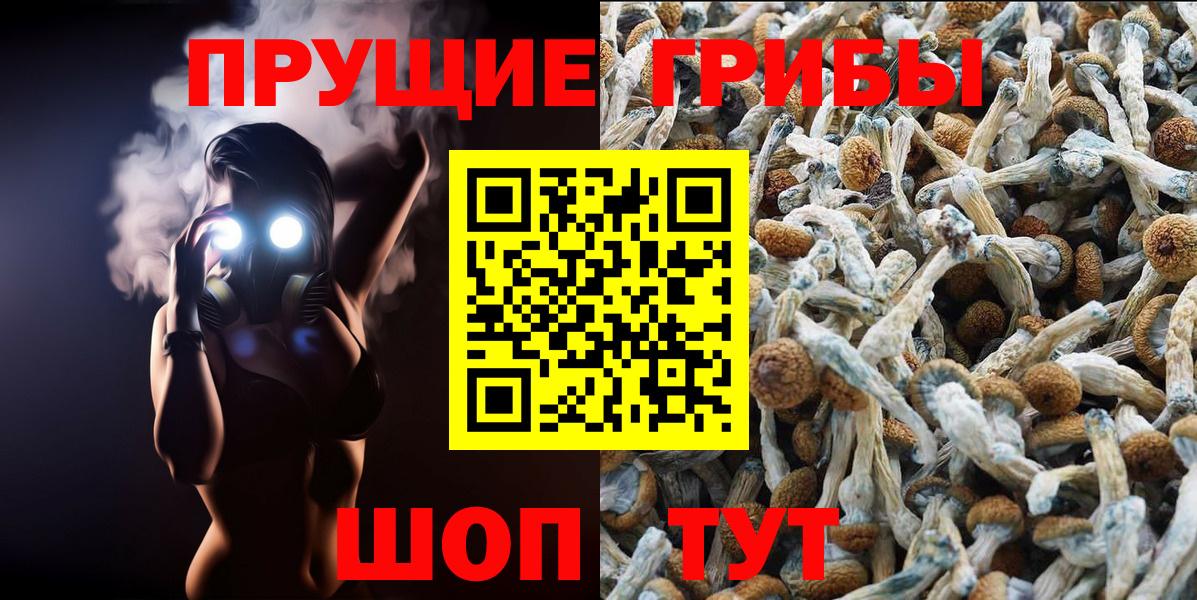 где найти наркотики  Галлюциногенные грибы GOLDEN TEACHER  Вход с VPN  Мытищи 