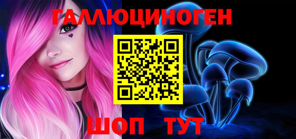 Псилоцибиновые грибы Psilocybine cubensis Мытищи